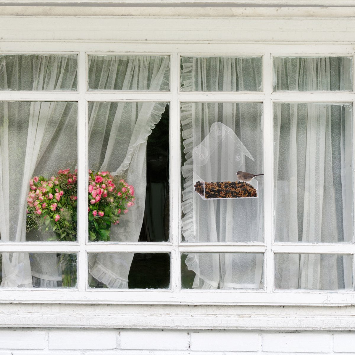 Vogelhuisje voor aan / op het raam - Transparant - Doorzichtig - Vogelhuis met Zuignappen - Vogel huisje - Bird Feeder Transparant Window - Vogel Verzorging - Vogelhuisje Raam Bevestiging - Voederplek - Vogelvoeding - Inclusief Zuignappen