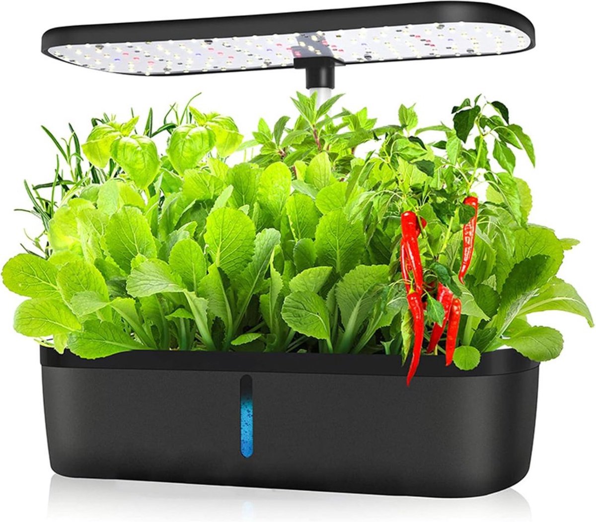 Hydrocultuur Systeem – Kweekset met LED-Belichting – Hydroponics – Indoor Garden – Kweeklamp - Hydroponic Systeem – 139 Groei Lichten - met Timer – Automatisch Pompsysteem – Bloemen/Fruit/Groentes - Zwart