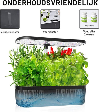 Hydrocultuur Systeem – Kweekset met LED-Belichting – Hydroponics – Indoor Garden – Kweeklamp - Hydroponic Systeem – 139 Groei Lichten - met Timer – Automatisch Pompsysteem – Bloemen/Fruit/Groentes - Zwart