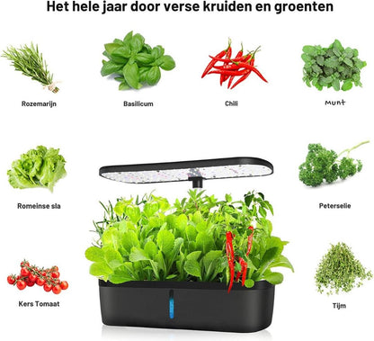 Hydrocultuur Systeem – Kweekset met LED-Belichting – Hydroponics – Indoor Garden – Kweeklamp - Hydroponic Systeem – 139 Groei Lichten - met Timer – Automatisch Pompsysteem – Bloemen/Fruit/Groentes - Zwart