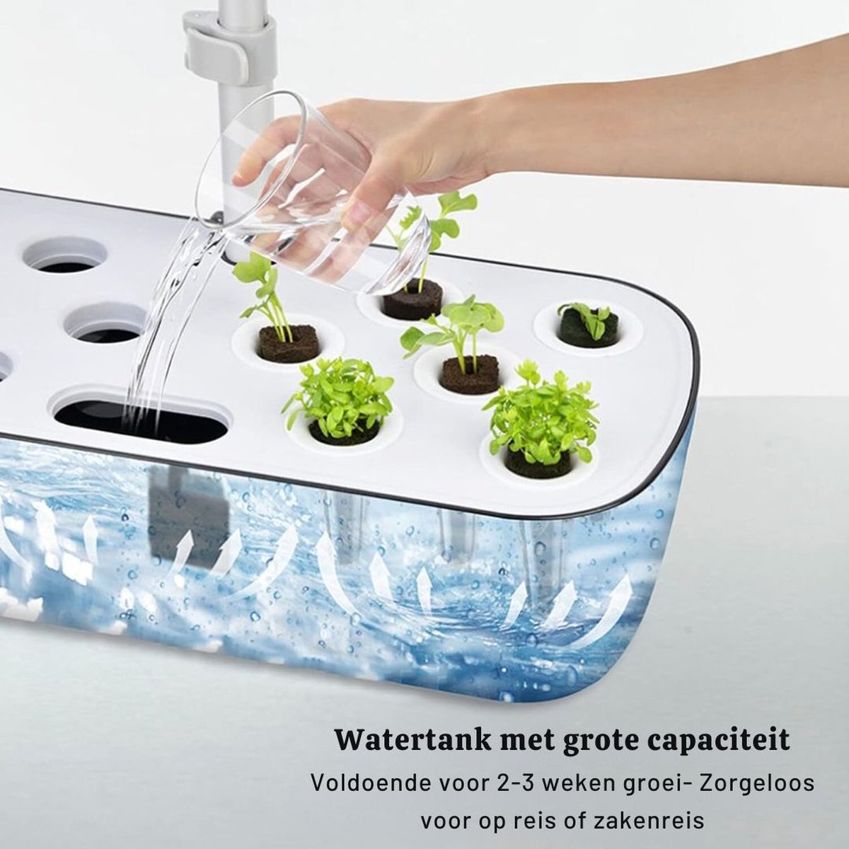 Hydrocultuur Systeem – Kweekset met LED-Belichting – Hydroponics – Indoor Garden – Kweeklamp - Hydroponic Systeem – 139 Groei Lichten - met Timer – Automatisch Pompsysteem – Bloemen/Fruit/Groentes - Zwart