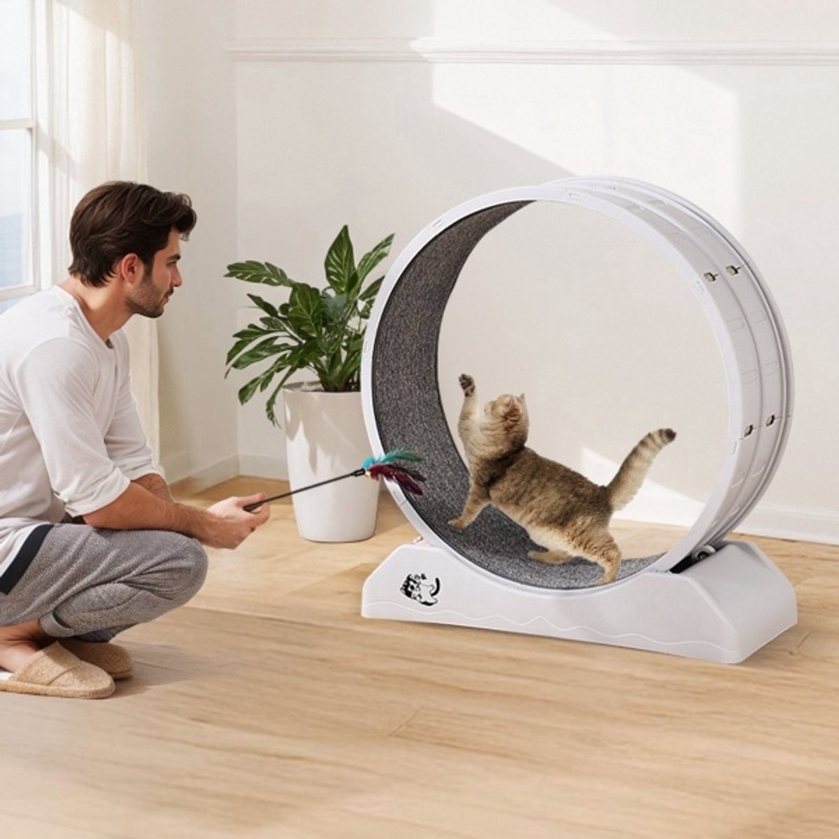 Kattenwiel XL - Loopband Voor Katten - Loopwiel Voor Huisdieren - 80x34x85cm - Duurzaam PP-Stof - Hometrainer Voor Huisdieren