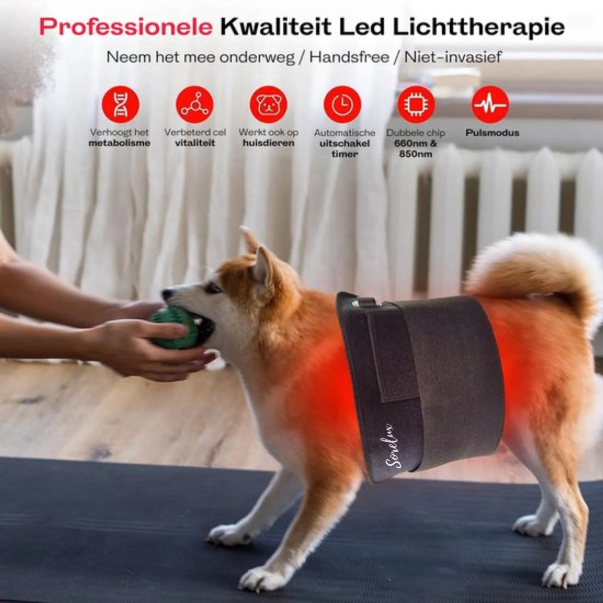 Infraroodband XL - Infraroodlamp - Rood Licht Therapie - Draagbaar - 120 Red Light Leds - Onderrug, Schouders, Benen - Red Light therapy