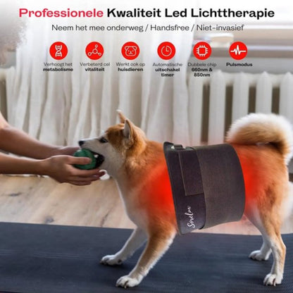 Infraroodband XL - Infraroodlamp - Rood Licht Therapie - Draagbaar - 120 Red Light Leds - Onderrug, Schouders, Benen - Red Light therapy