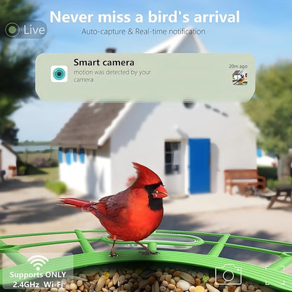 Zonne-Energie Vogelvoeder Met Camera - 1296P HD Video - AI Vogelidentificatie - Automatische Foto-/Videofotografie - 4000mAh Batterij - Wi-Fi Ingebouwd - 32GB Uitbreidbare Opslag voor Vogelspotters - Buiten Vogelvoeder - Compacte Vogelhuisje - Antiek
